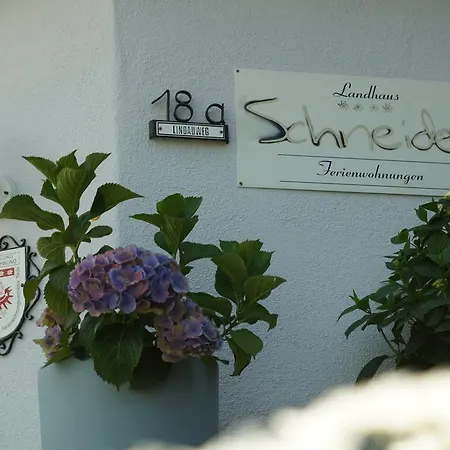 Schneider Fieberbrunn