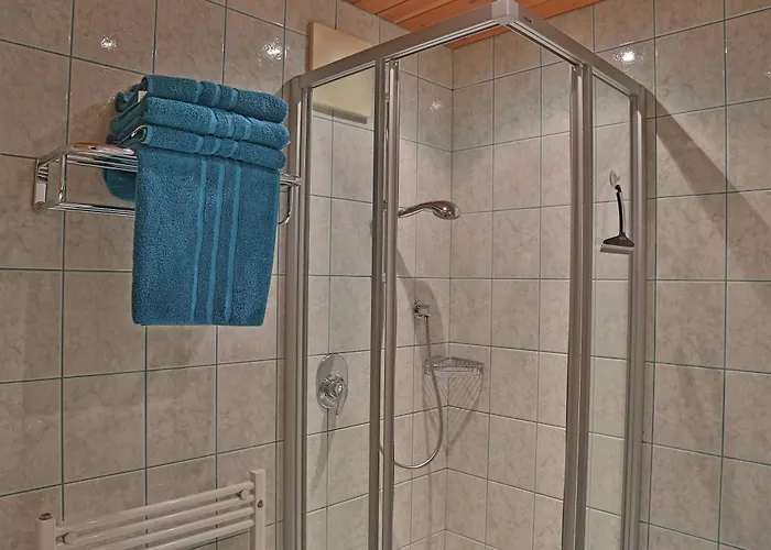 Schneider * Фибербрюнн