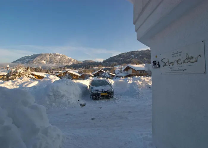 Апартаменты Schneider *